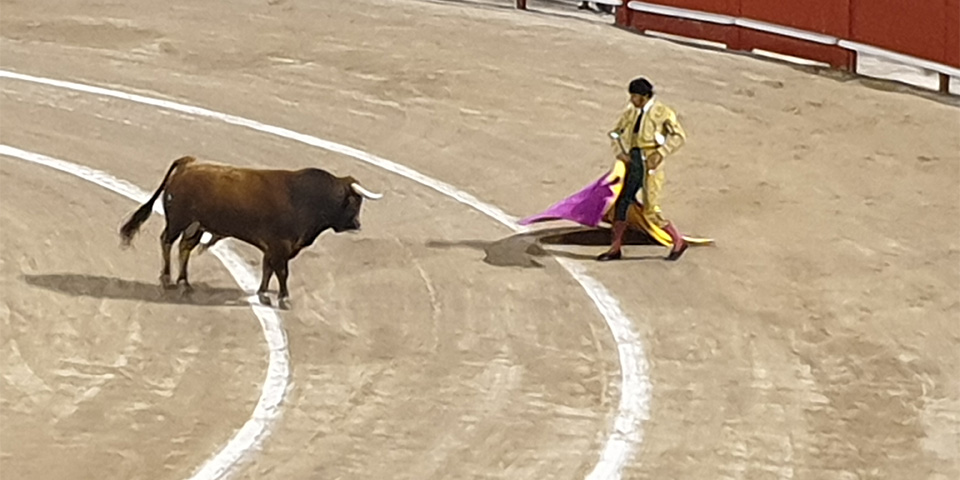 Portugal verhoogt btw op stierenvechten van 6% naar 23%