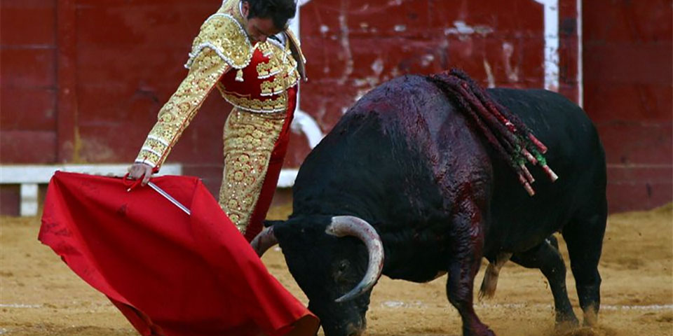 Mogelijk einde bloedige stierengevechten in Bogota