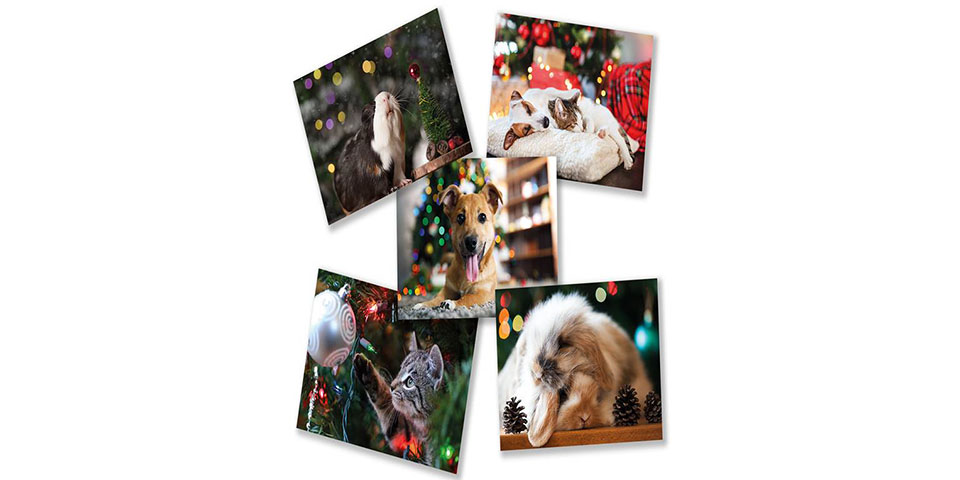 Kerstkaartjes en cadeautips voor dierenvrienden