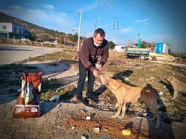 Ongelooflijk veel leed voor honderden gedumpte honden en katten in Turkije