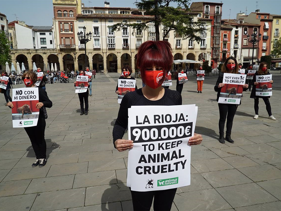 Protest tegen het stierenvechten in Logroño, Spanje