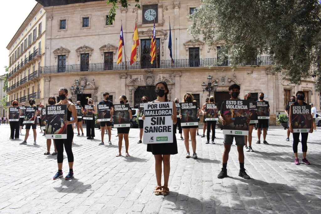 Protest tegen terugkeer van stierengevechten op Mallorca, Spanje