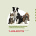 Dierenambulance_1