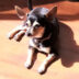 foto-lucky.9e4365